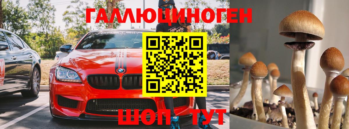 Воронеж  Галлюциногенные грибы Cubensis  Вход с VPN 